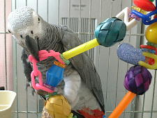 おもちろ〜い♪