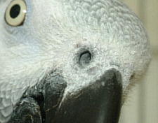 おもちゃを選ぶのって楽しい〜