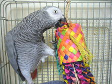 この歯ごたえ?がたまら〜ん