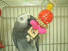 うっひょ〜〜って感じです