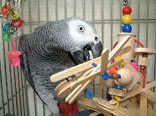 ヒモの結び目をほどくのが好き