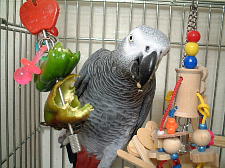 串に刺さったおでんみたい?