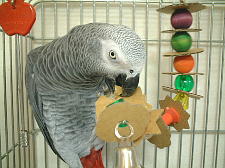 破壊しやすくって楽しい〜