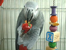 流血するほどでもないけどね〜