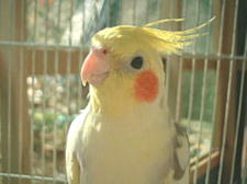 日差しを受けて