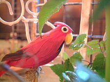 海の中の人工島なので風が強い