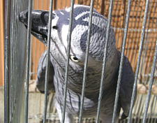 カキカキしてぇ〜〜ん