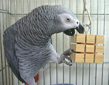 よっしゃ、もうちょっとや!