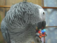 かじかじかじ・・・