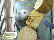 久々の大ヒットおもちゃです