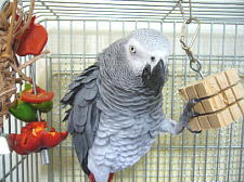 トマトって飲むものでしょ?