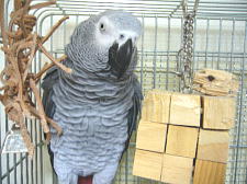 頭でかくないですか?