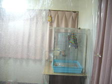 透明感アップで宝助もよく見える