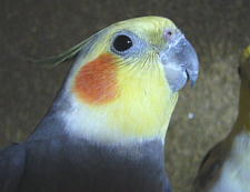 早いものでもう7才半