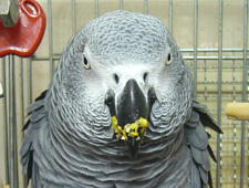 ククク、この目つき(笑)