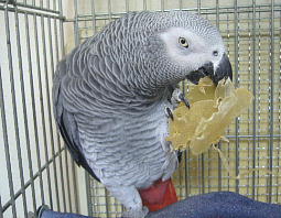 �Q���ɂ��낵�Ă��ꂽ