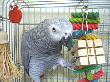 興味なしのカラフルなおもちゃ