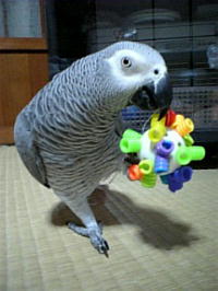 �c�肠�Ƃ킸���E�E�E