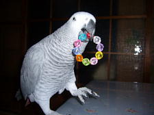 良いの貰ってよかったね〜