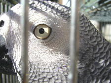 白いまつげも写ってます