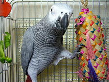 ���`����