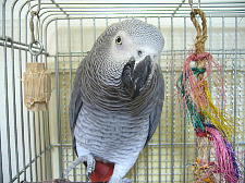 もうお年玉ないん?