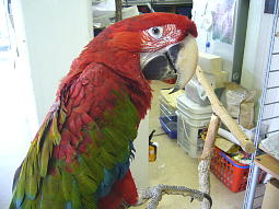 �܂����q����܂݂���