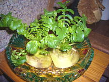 �卪�����킢�����̂ł�