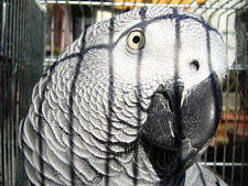 �ق��ق��`