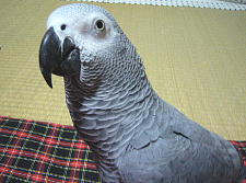 お土産買ってきてくれたん?