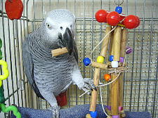 いっちょあがり