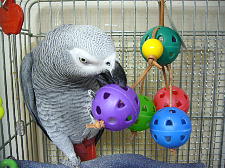 こんなんちょろいもんよ