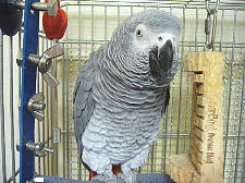 1番上と3番目のネジが緩んでいます