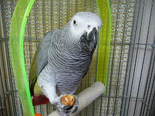 朝一の伸び〜〜もブランコの上でします