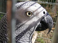 鼻の穴、大きくないですか?