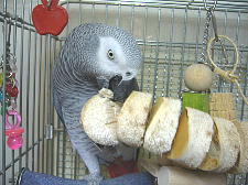 柔らかいのでがっしがっし行けちゃいます