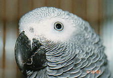 今と顔の形が違うような気が・・・