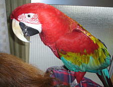 嬉しいツーショット写真