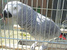 ぬくぬくほこほこ