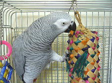 最後には1本のヒモだけ残ります