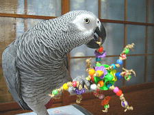 もう職人技やわ