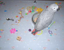 お片づけはよろしくね