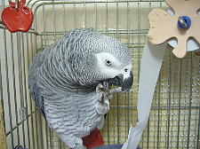 ちょっと怖かったの