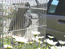 目の前のお花見る余裕なんてございません