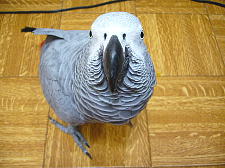 見上げる顔がかわいい〜