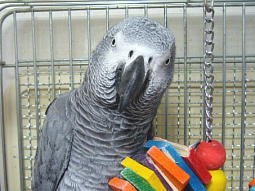 ���킢���`���Ă܂�