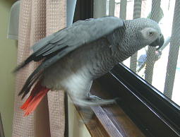 のび〜ってしてリラックス