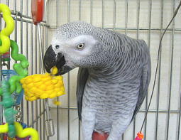 ���������`�`�I