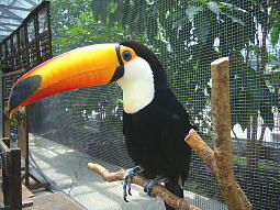 �Ƃ��Ă����ꂢ�I