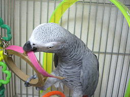 ����`�`���